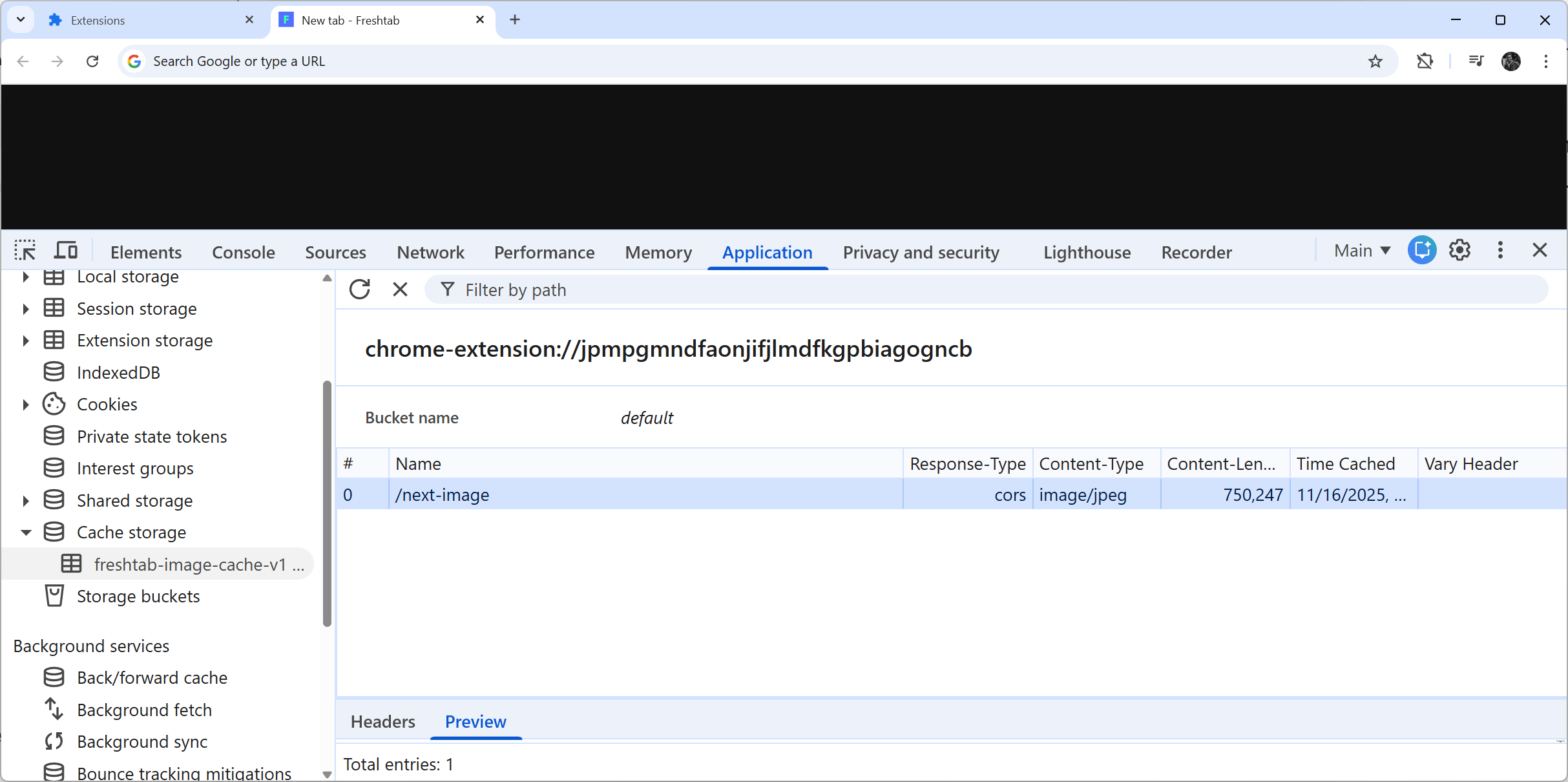 Viewing the image in the browser cache